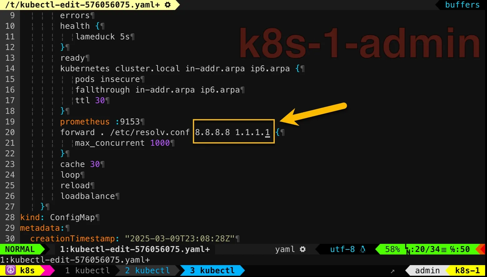 Add google and cloudflare DNS into Kubernetes