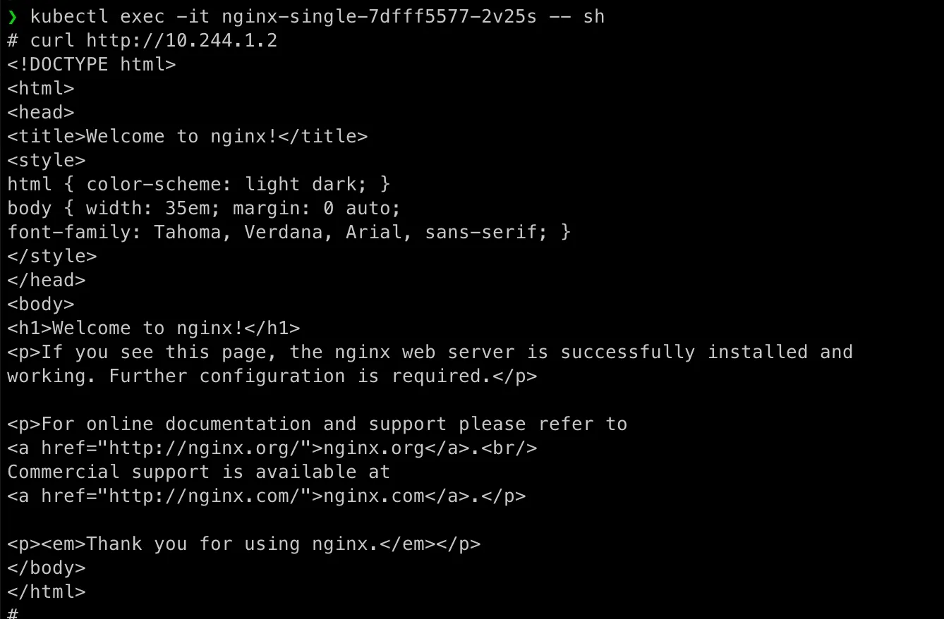 check nginx in pod