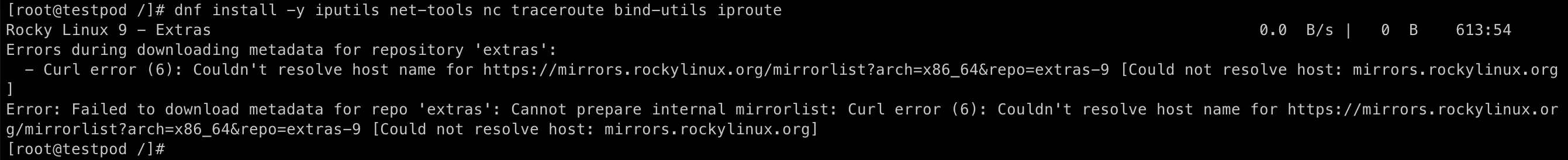 internet access issue in pod