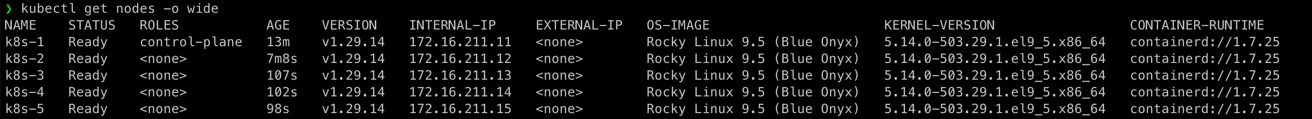 kubernetes cluster setup formed fully