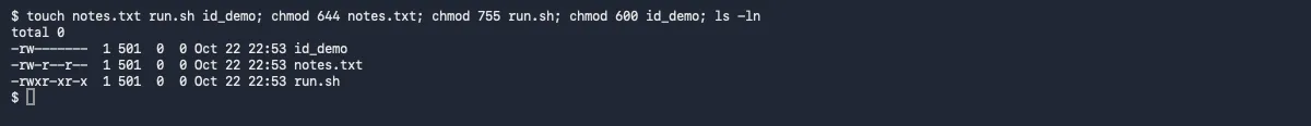 Terminal: ls -ln listing id_demo as -rw-------, notes.txt as -rw-r--r-- and run.sh as -rwxr-xr-x