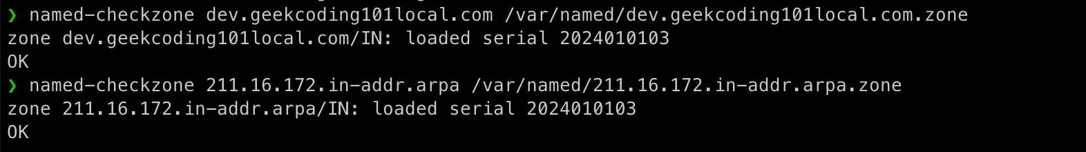 named-checkzone command pass on kubernetes cluster to test DNS server