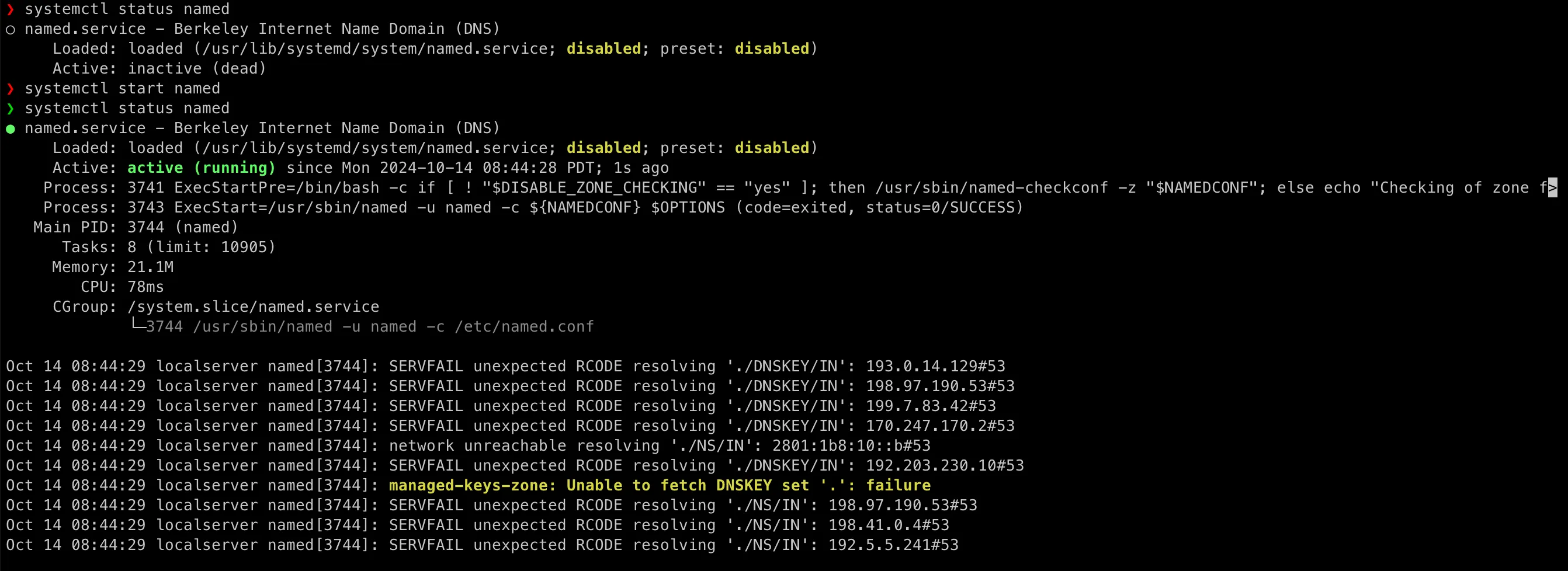 named service status for DNS server