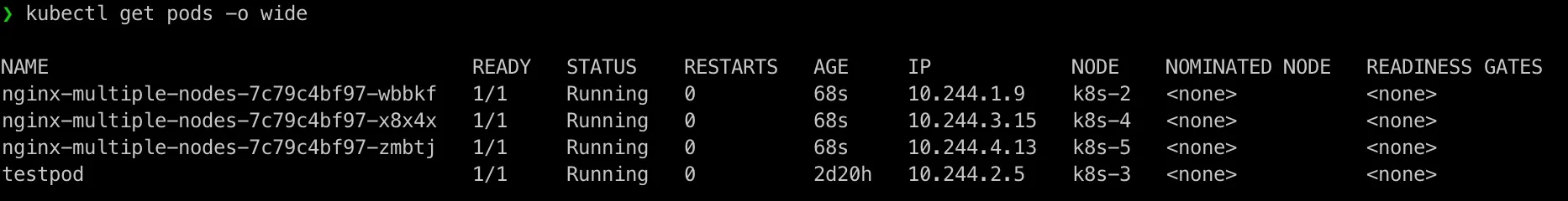 nginx running on multiple nodes