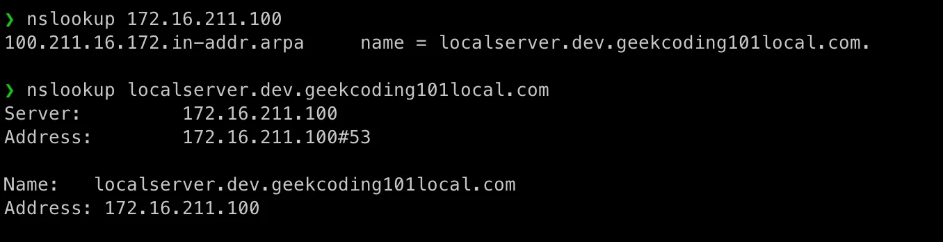 DNS server nslookup test localserver in kubernetes environment